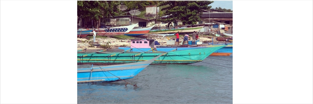 Un joyau caché de la mer indonésienne! 4 spots touristiques à Biak!