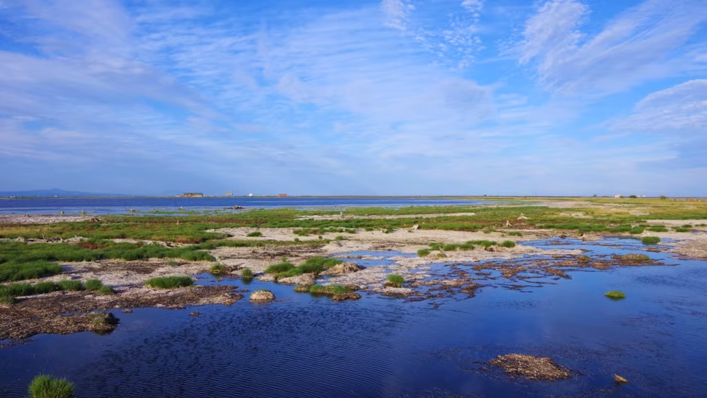 [Eastern Hokkaido] Guide de voyage de la péninsule de Notsuke 