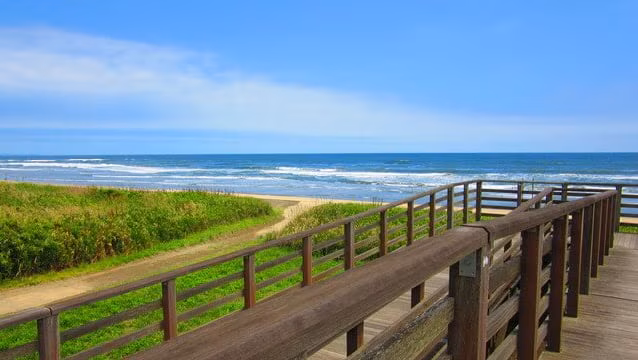 Sites touristiques soigneusement sélectionnés à Hokota, Ibaraki ! Endroits recommandés sur mer et sur terre