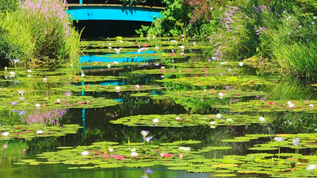 4 lieux touristiques recommandés autour du village de Kitagawa, préfecture de Kochi