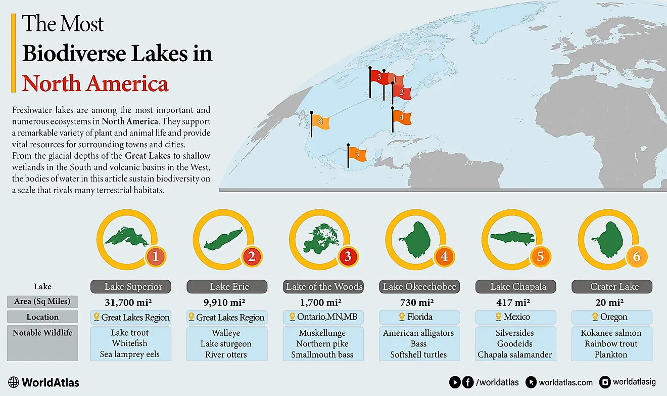 Les lacs les plus biodiverses en Amérique du Nord