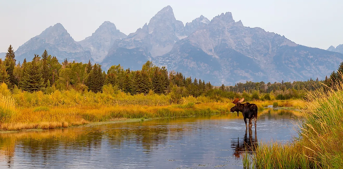 Los 6 mejores lugares para visitar en Wyoming este otoño