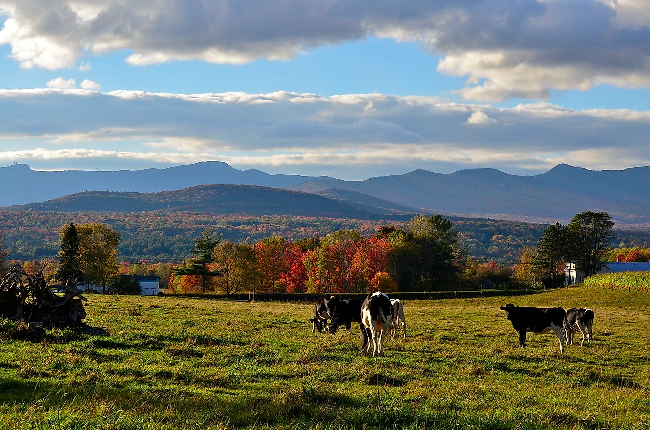 Les 7 villes les plus décontractées du Vermont pour 2025
