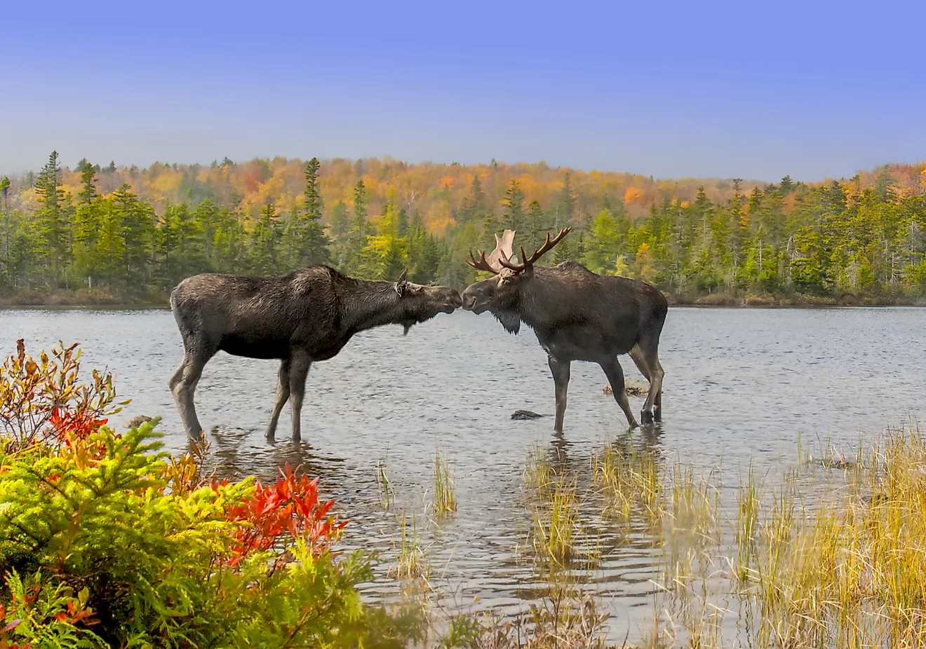 5 parcs nationaux et étatiques dans le Maine, vous devez visiter