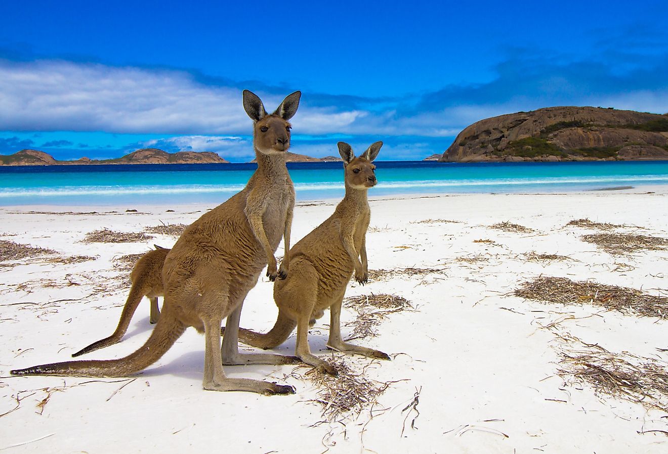 9 des villes les plus insolites d'Australie occidentale