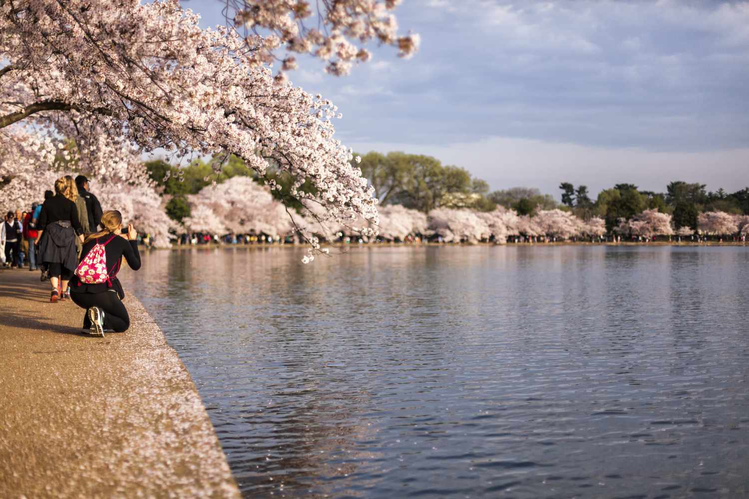 Top 10 événements de printemps à Washington, DC