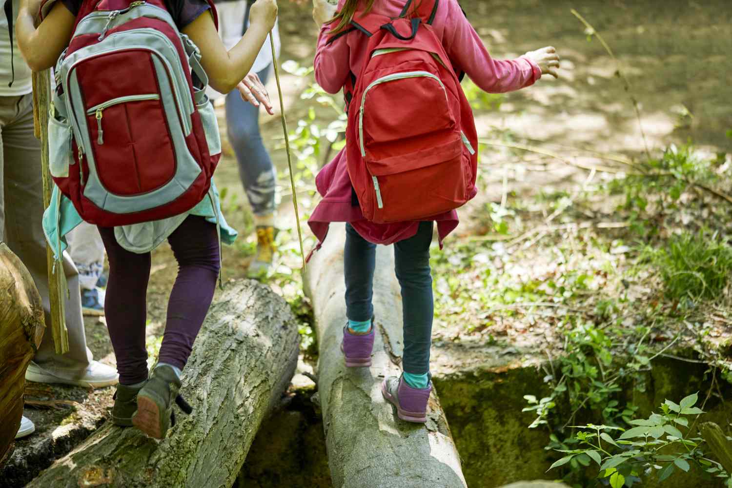 Comment faire de la randonnée avec vos enfants