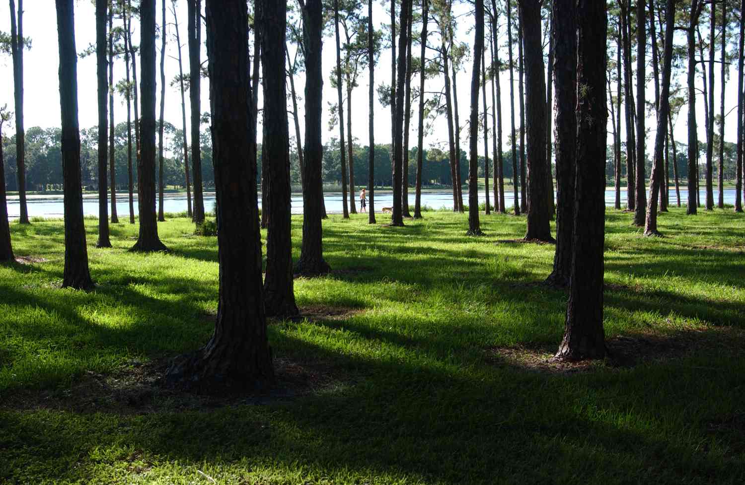 Largo, Floride: belles plages du golfe, parcs et plaisir en famille