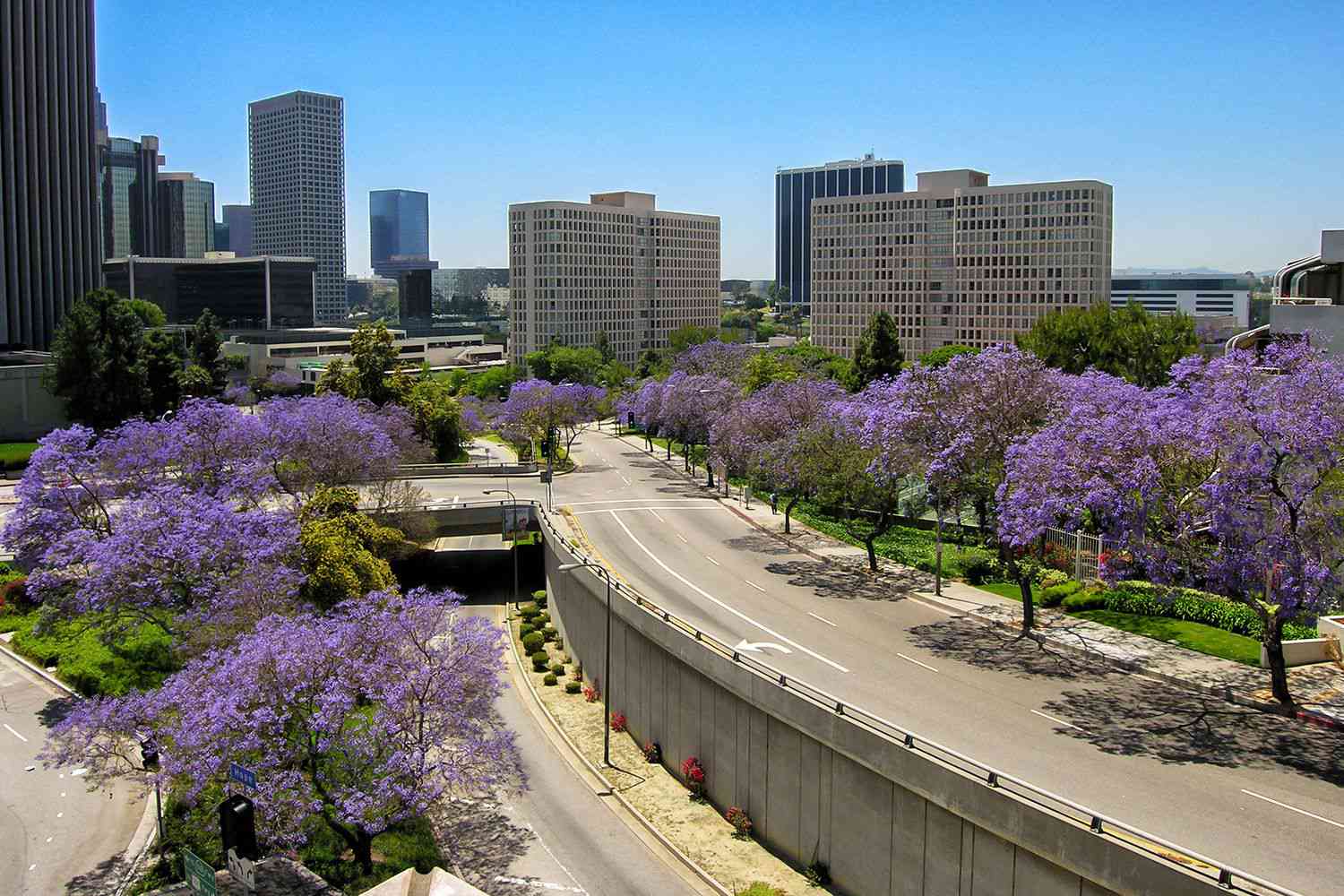 Juin à Los Angeles: météo, quoi emballer, et que voir