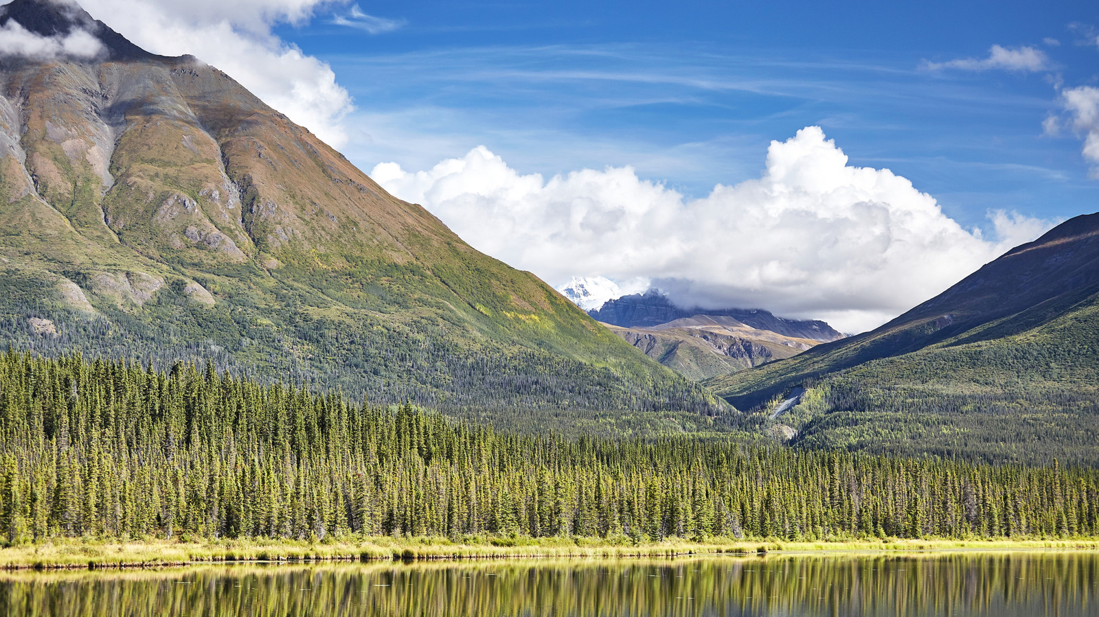 Le vaste parc national de l'Alaska est le plus grand des États-Unis