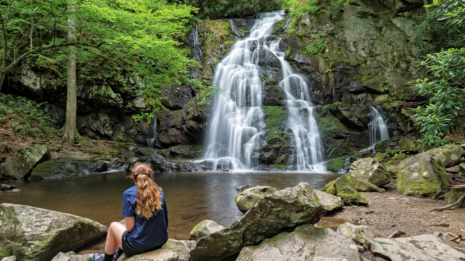 Le parc national le plus visité d'Amérique est un havre de paix pour les amoureux de la nature