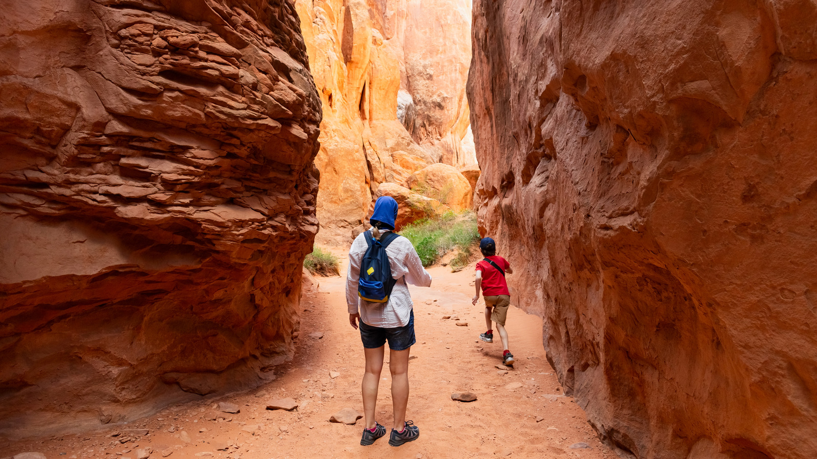 Ce parc national spectaculaire de l'Utah offre des randonnées uniques aux voyageurs aventureux