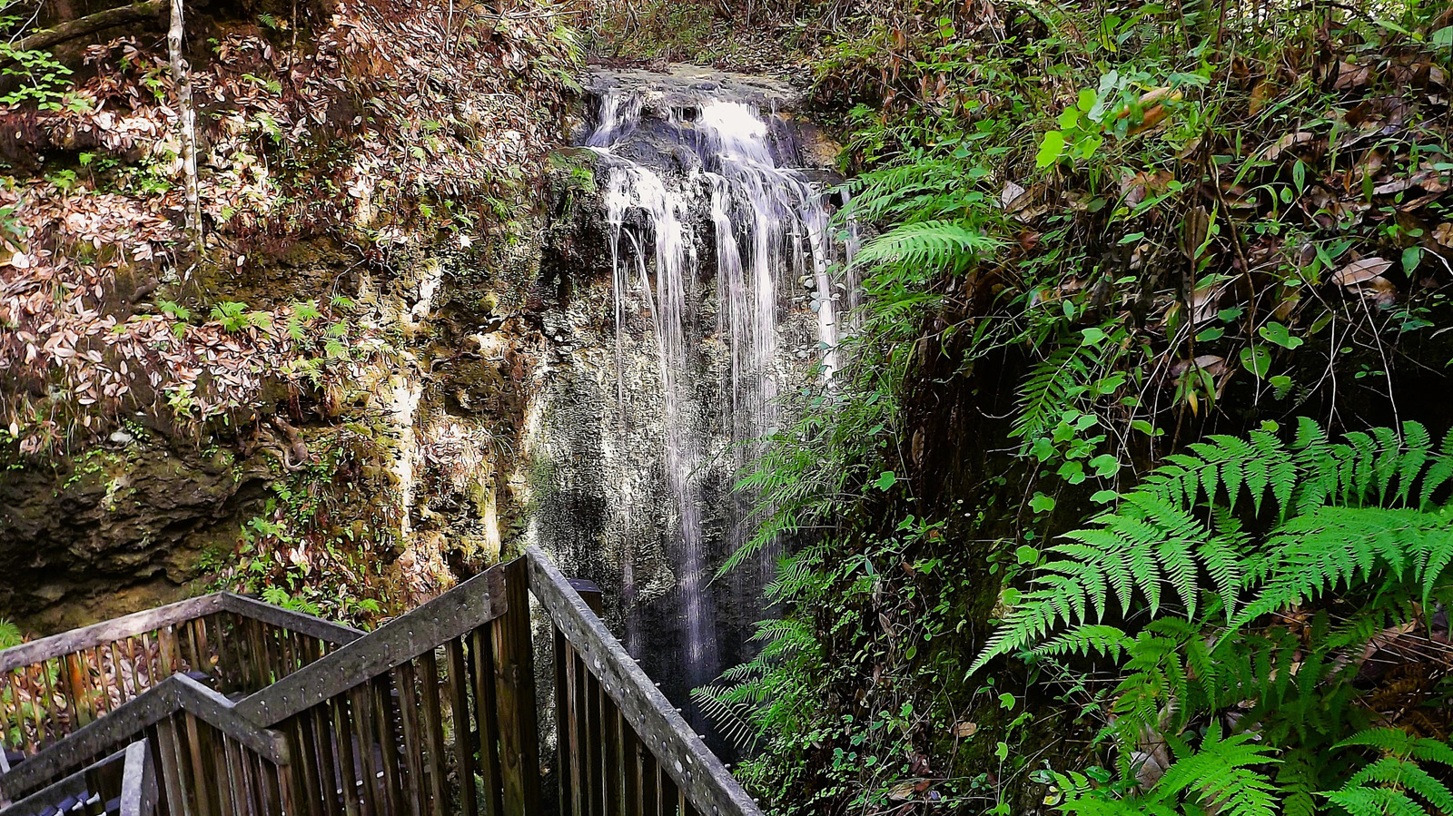 La plus haute cascade de Floride est pleinement exposée dans ce magnifique parc d'État