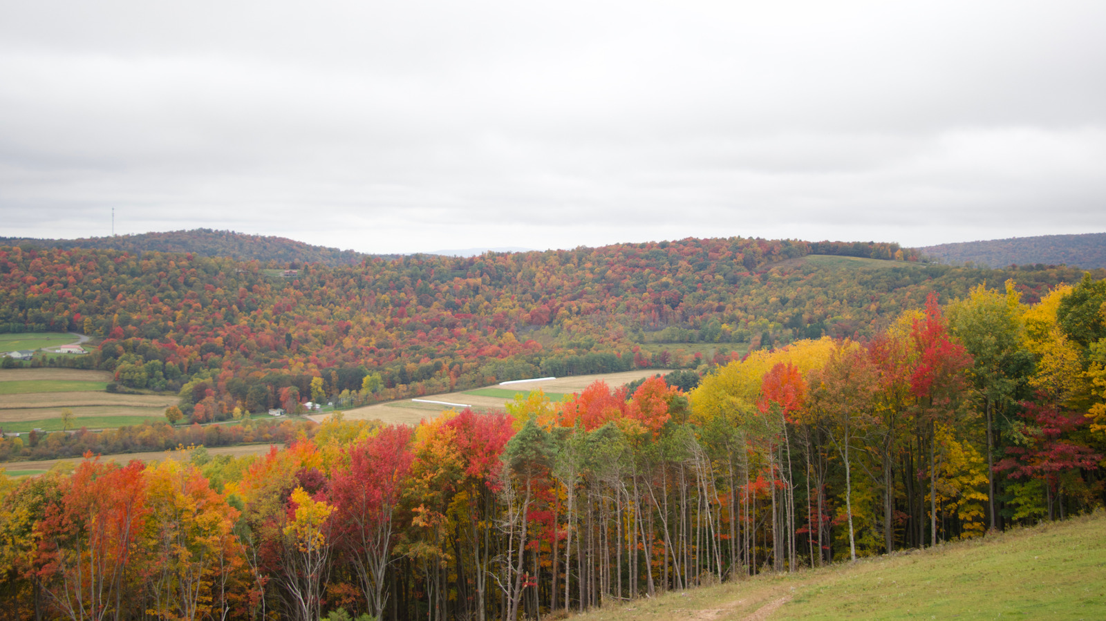 Le plus récent parc d'État du Maryland, parfait pour le camping en montagne, ouvrira bientôt ses portes