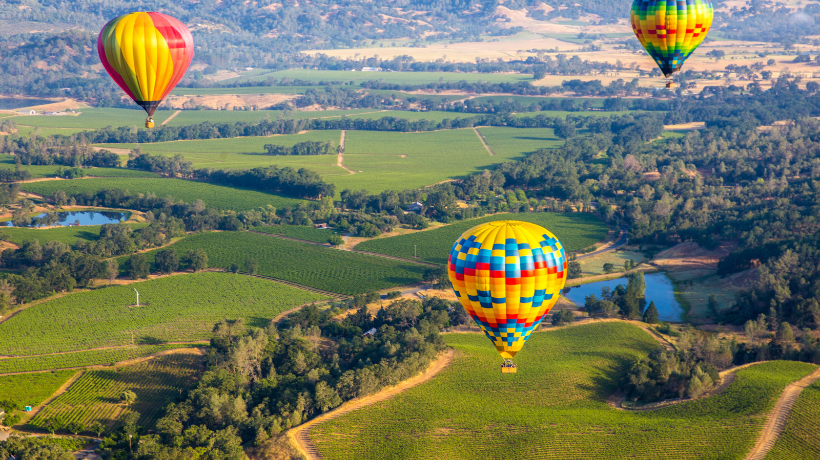 La région viticole la plus populaire de Californie regorge de vignobles et de vues panoramiques