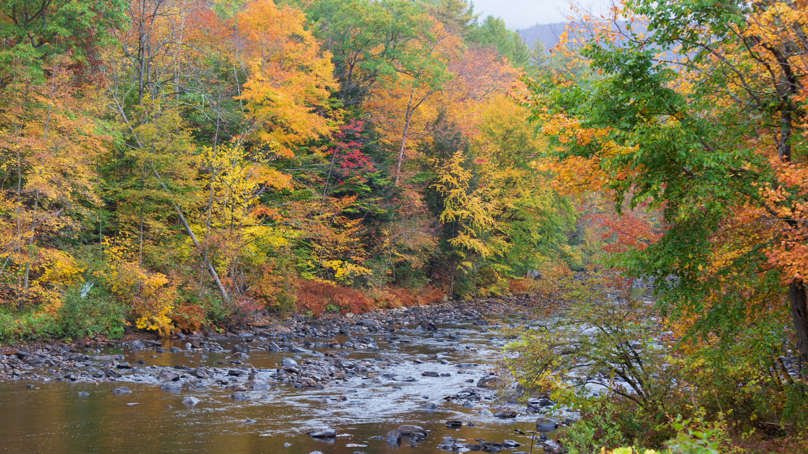 Le « pays des vacances toutes saisons » de New York est une ville sous-estimée des Adirondacks pleine de plaisirs en plein air