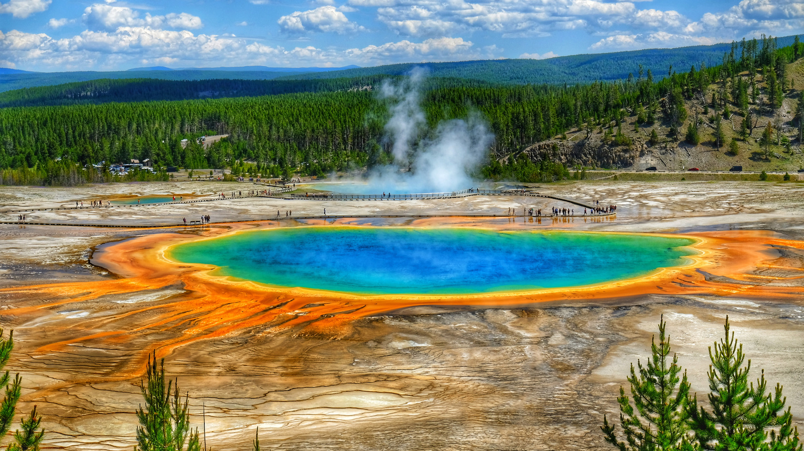 Les touristes devraient-ils s'inquiéter de la découverte surprenante des scientifiques à Yellowstone ?