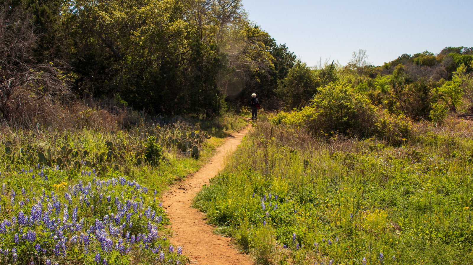 Le plus récent parc d'État du Texas ouvrira ses portes en 2026 et regorge de sentiers récréatifs