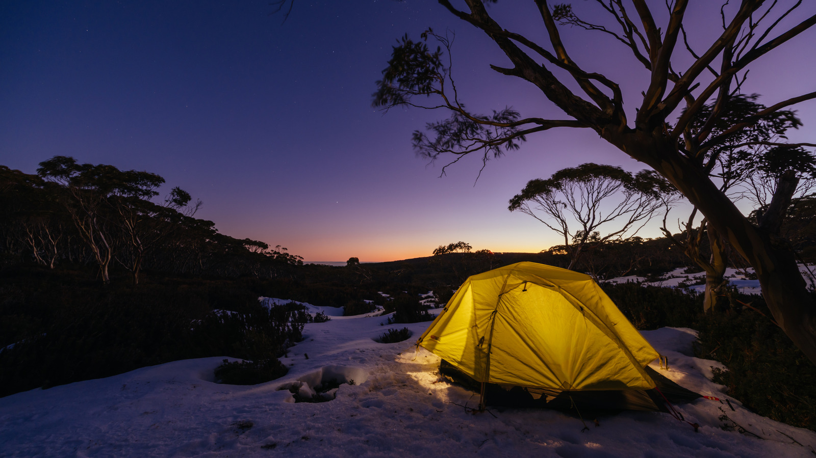 La meilleure destination de camping au monde est un pays unique en son genre avec une faune unique