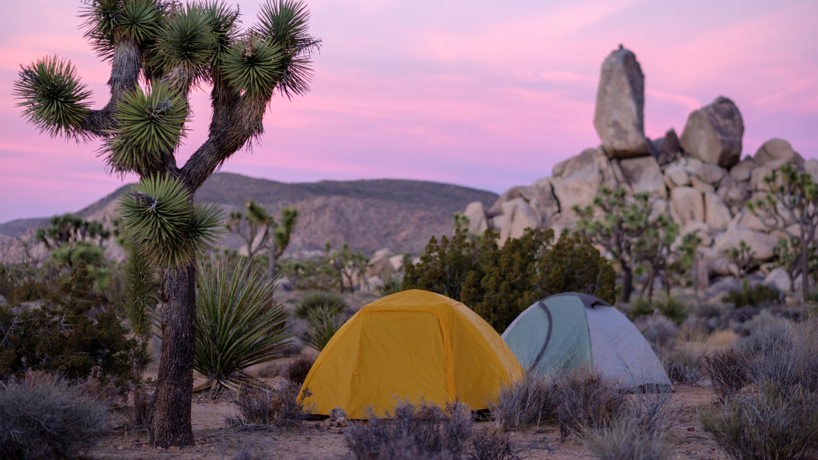 Les meilleurs parcs nationaux de Californie pour les aventures en camping, selon les visiteurs