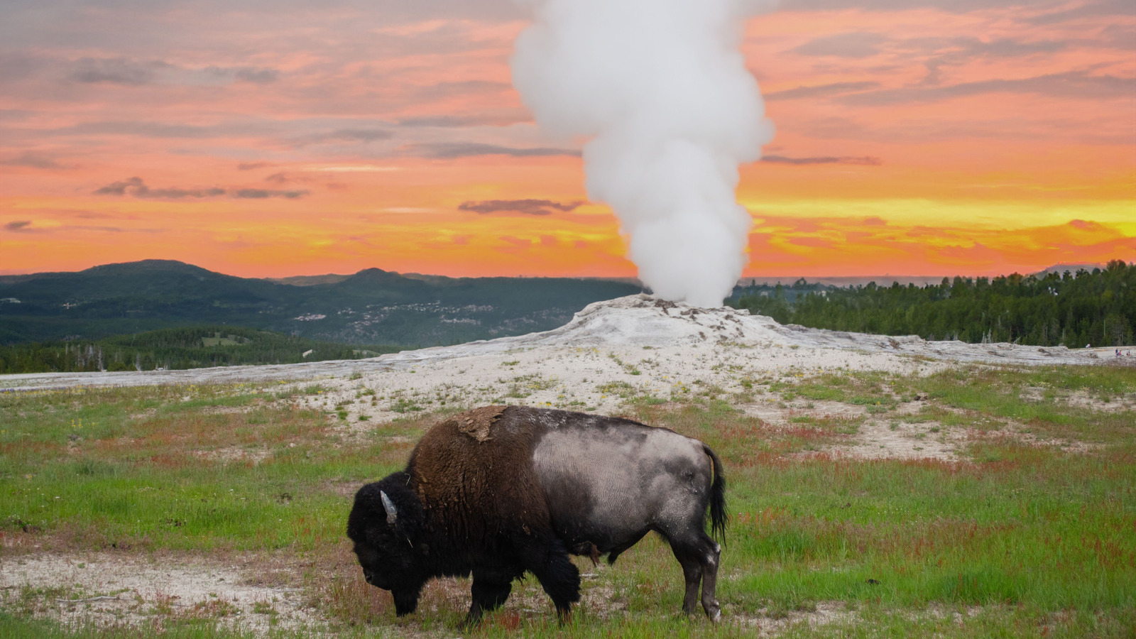 Le premier parc national au monde est une destination fascinante pour les amoureux de la nature
