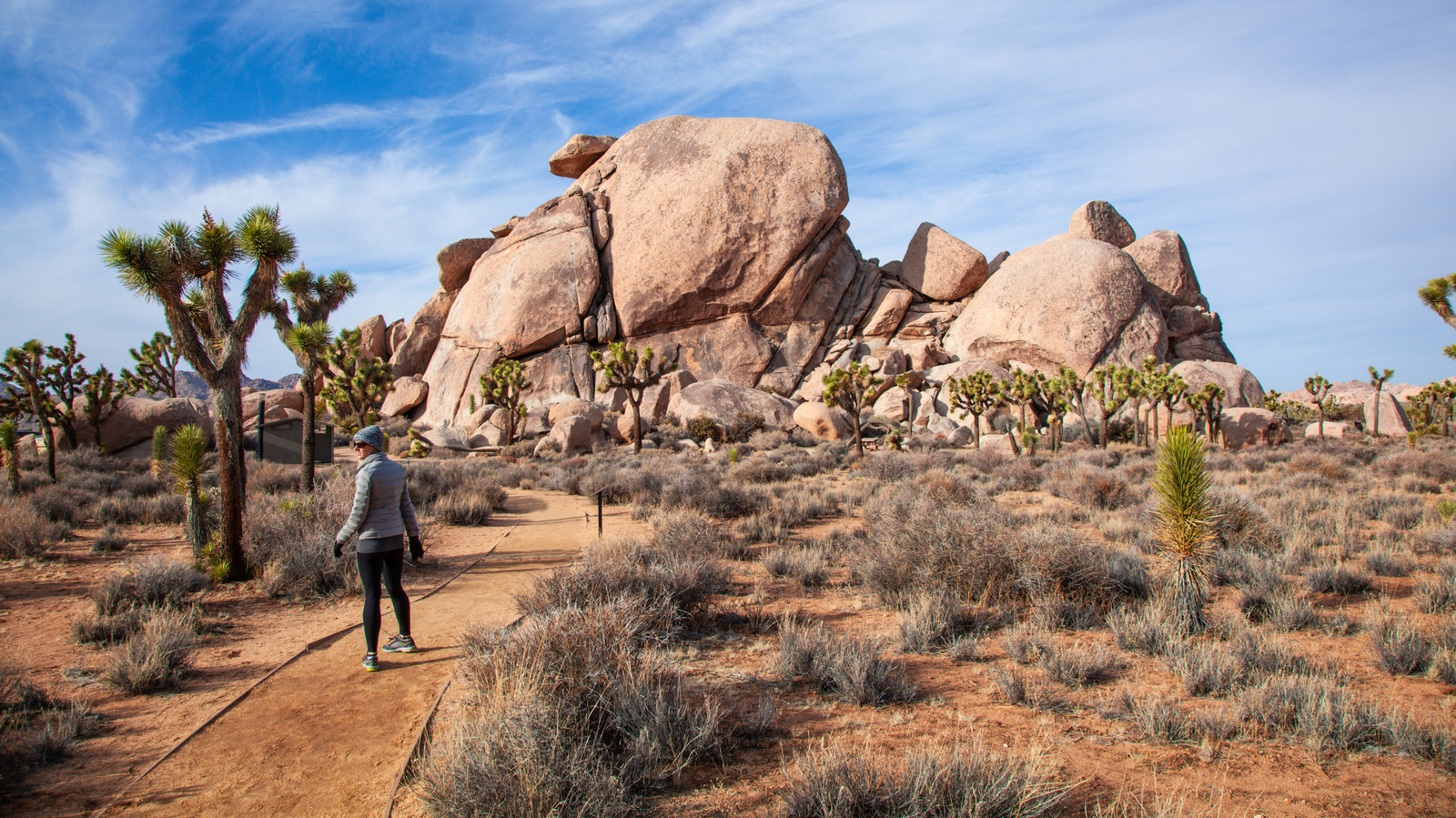 Ce parc national de Californie offre un camping et des loisirs sereins dans le désert