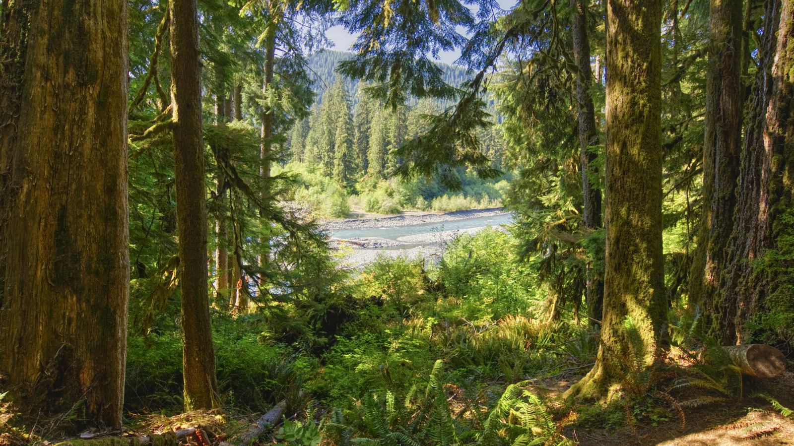 Washington possède l'un des parcs nationaux les plus populaires des États-Unis