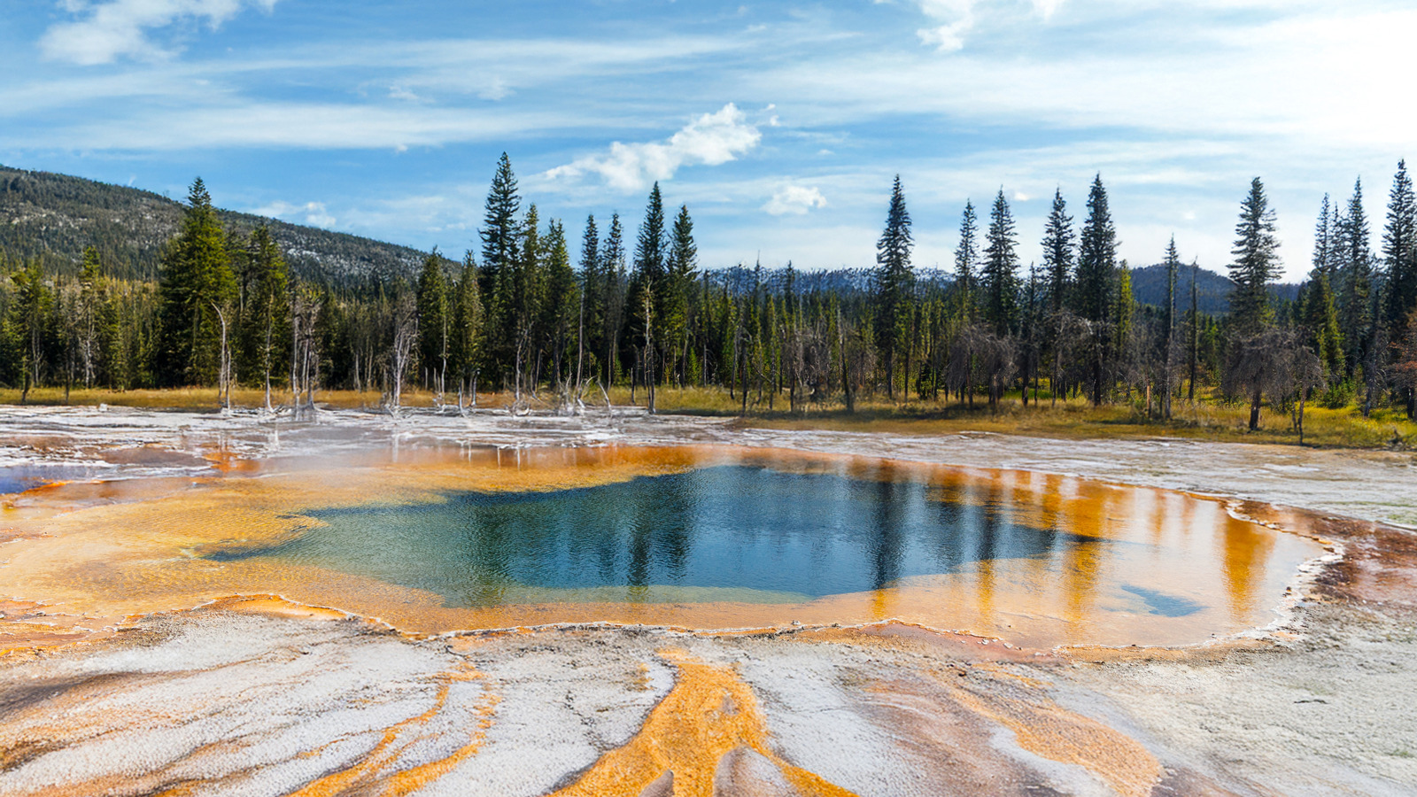 Ce que les visiteurs étrangers devraient garder à l’esprit lorsqu’ils se rendront dans les parcs nationaux américains en 2026