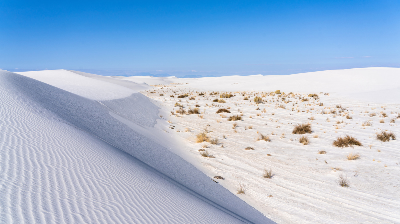Le plus grand parc national du Nouveau-Mexique est un désert d'un autre monde avec du sable blanc et frais